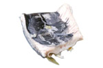 Pinoy Fiesta Bangus Belly Prime Cut