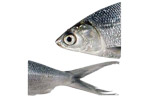 Pinoy Fiesta Boneless Bangus Heads & Tails